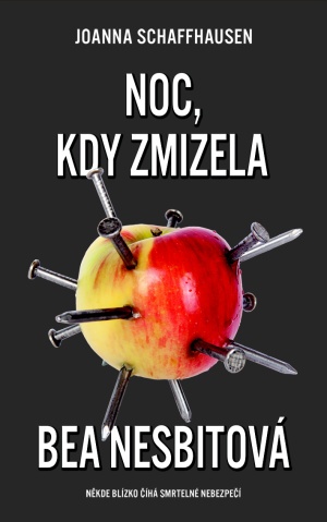 obálka knihy Noc, kdy zmizela Bea