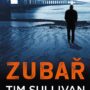 Recenze